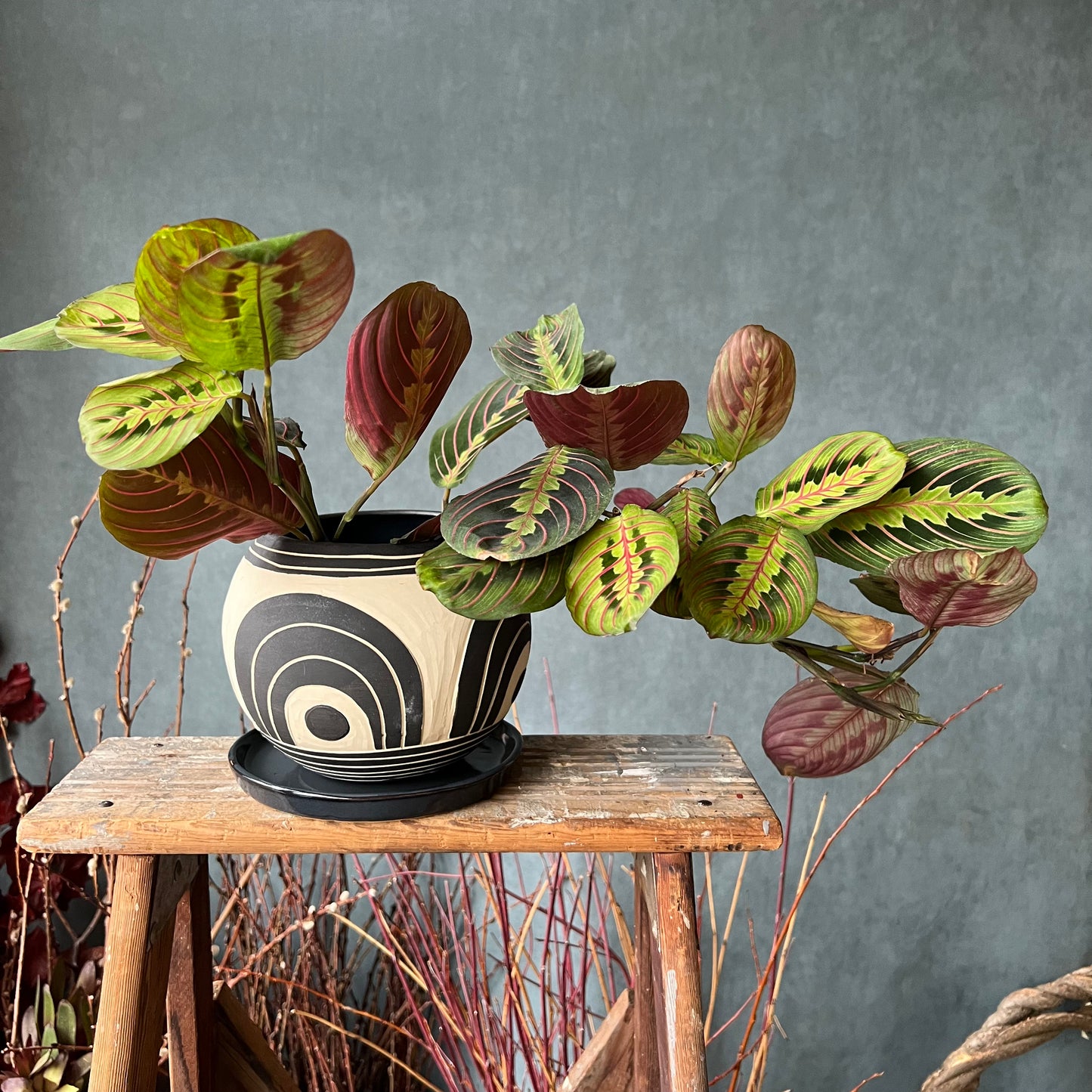 Niko Carved Round Planter w/Tray Small #1