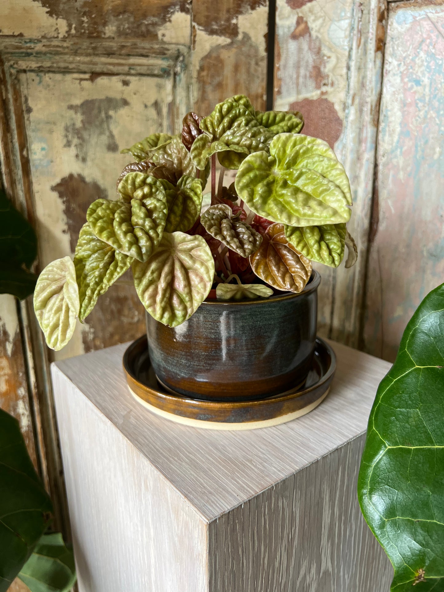 Planter by Lamb Pottery