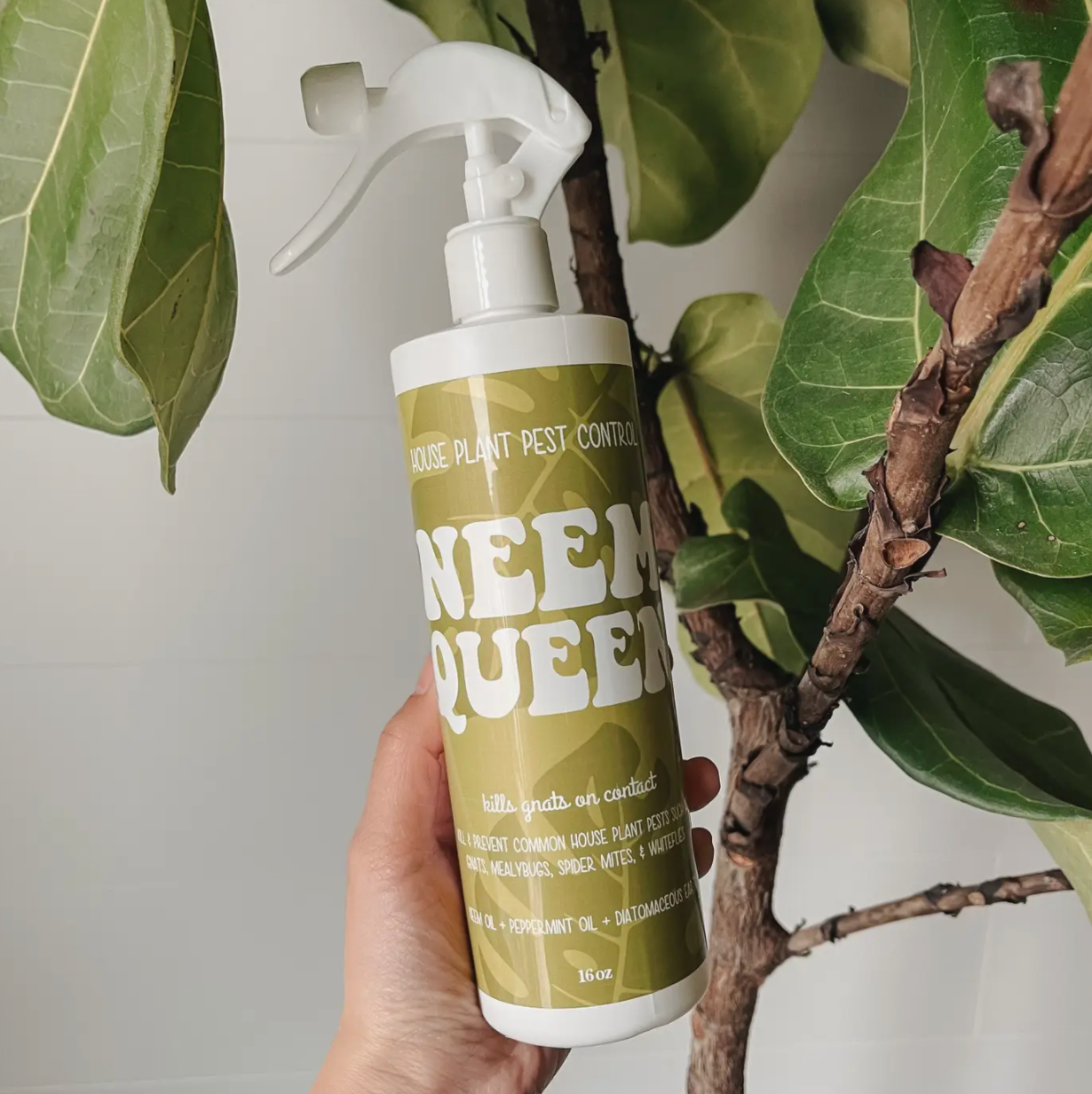 Neem Queen - House Plant Pest Control