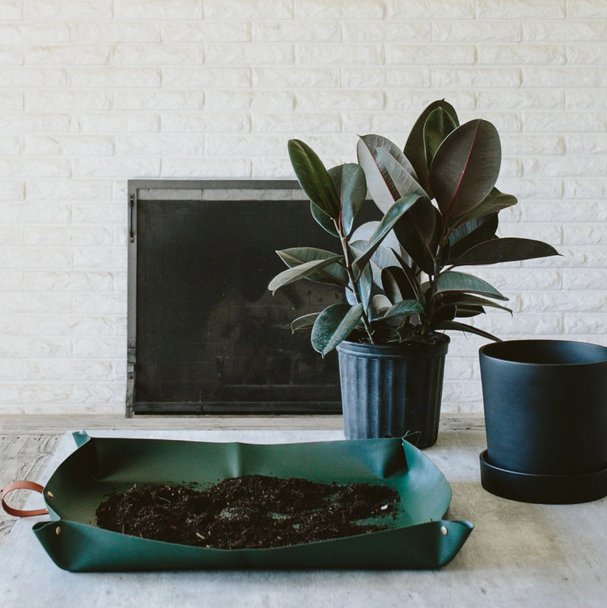 Arber Repotting Mat
