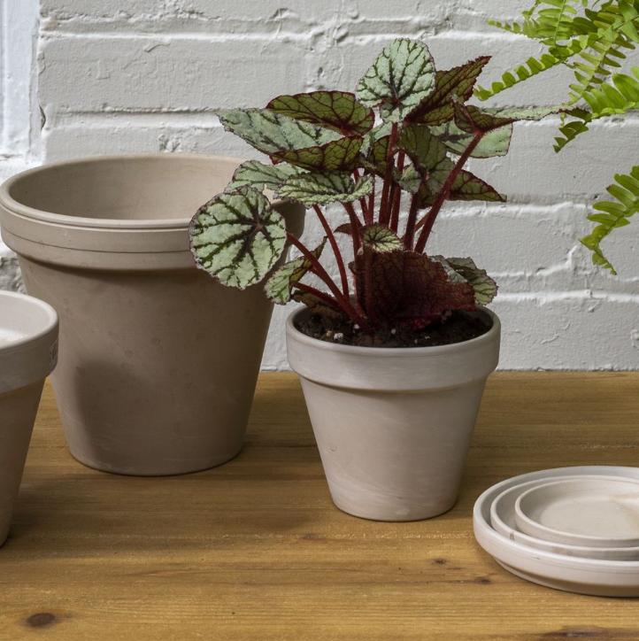 Apollo Pot