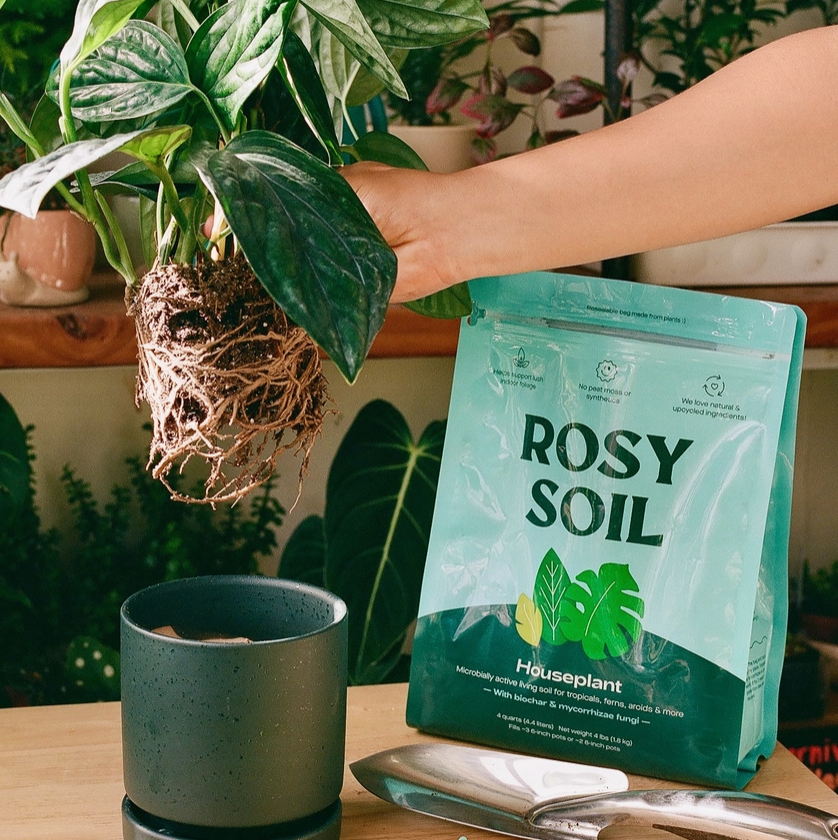 Organic Indoor Potting Soil 8 Qt.