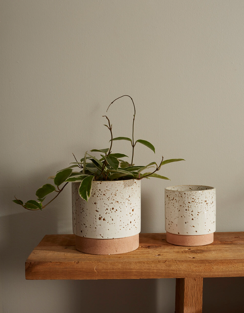 Speckled Two Tone Planter