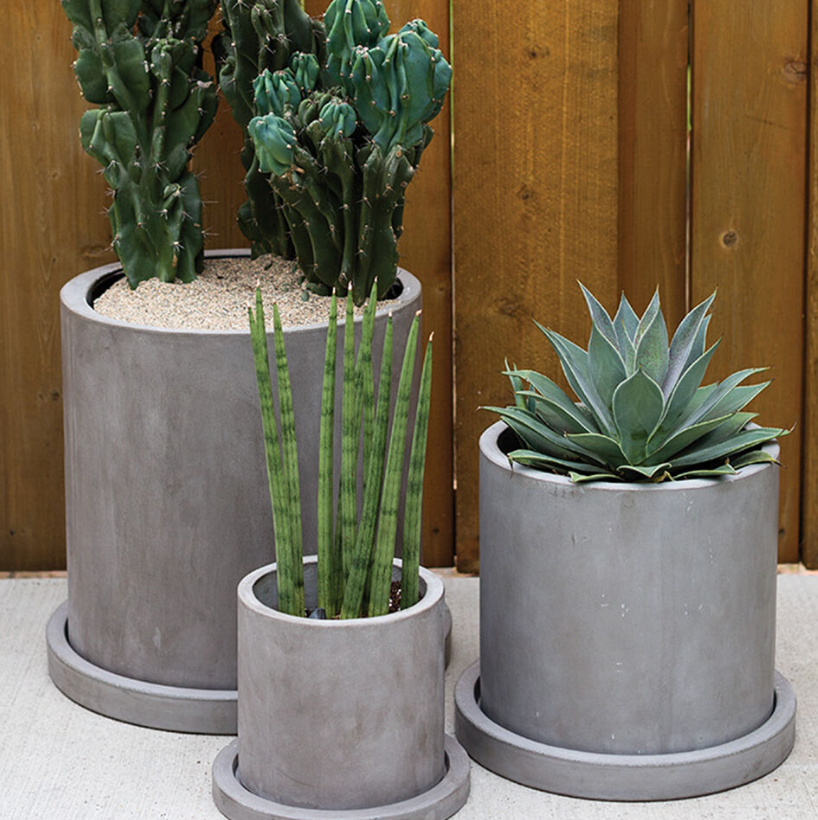 Marta Pot