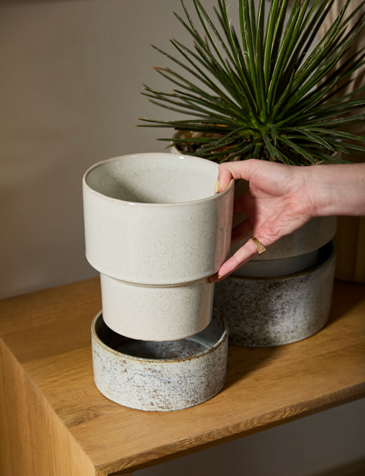 Endeaver Planter w/Tray