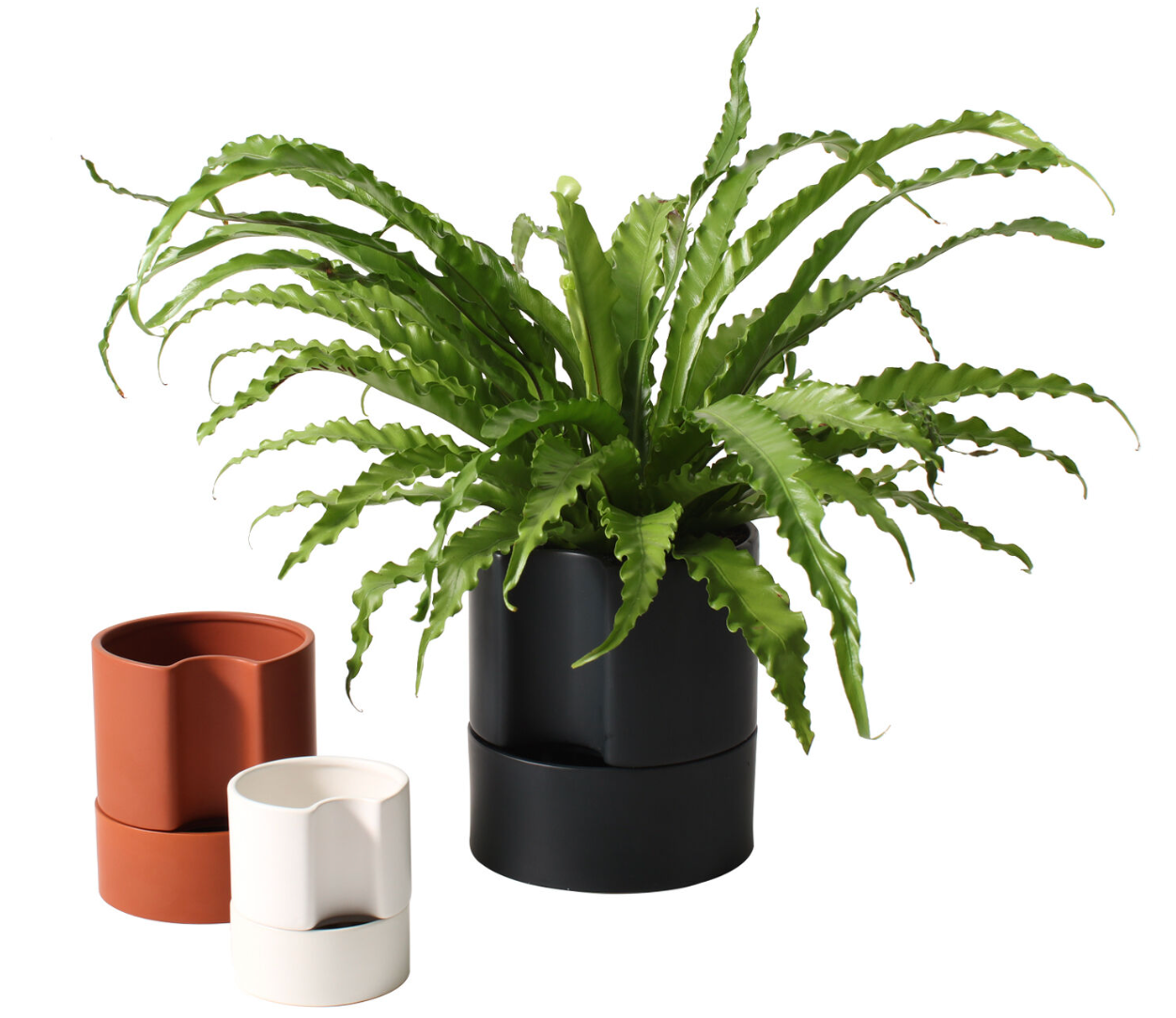 Self Watering Jett Pott