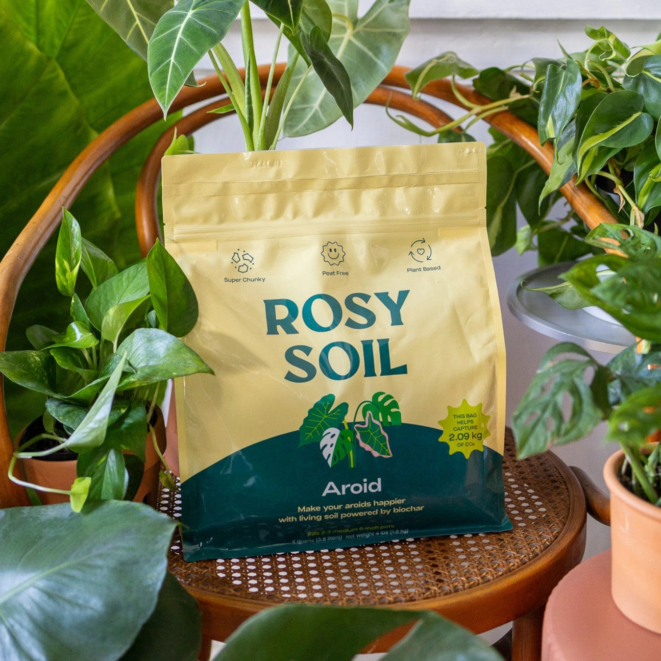 Aroid Potting Soil 4 Qt. – FLOWERKRAUT