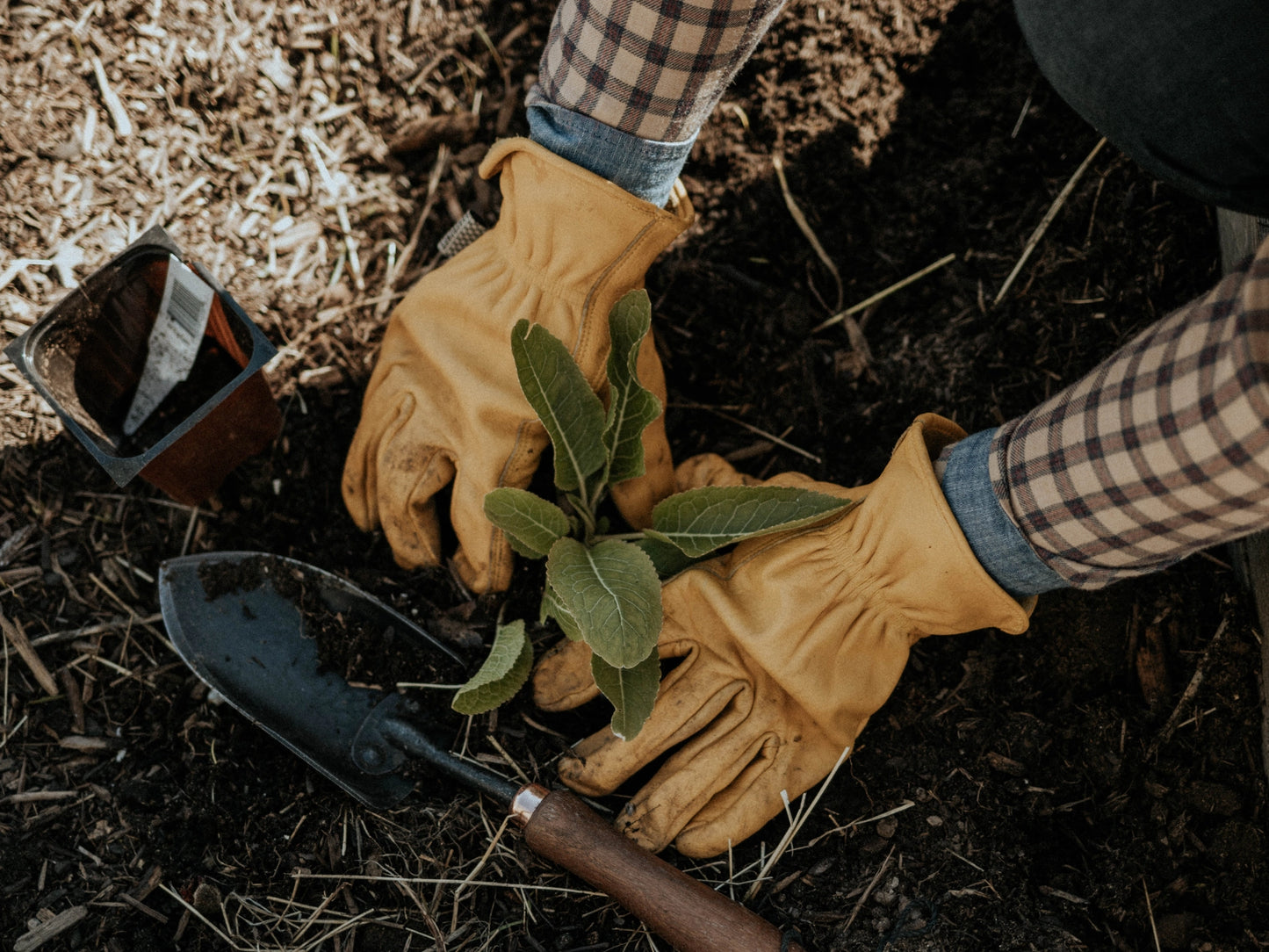 Work Gloves