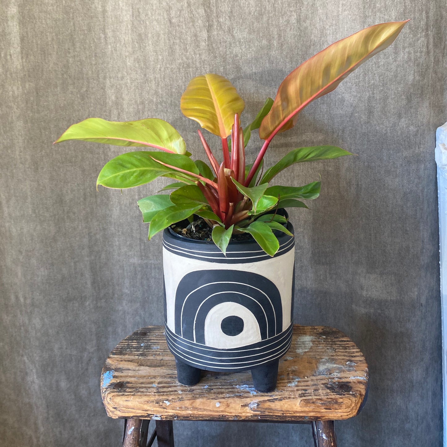 Niko Carved Tripod Planter w/Tray