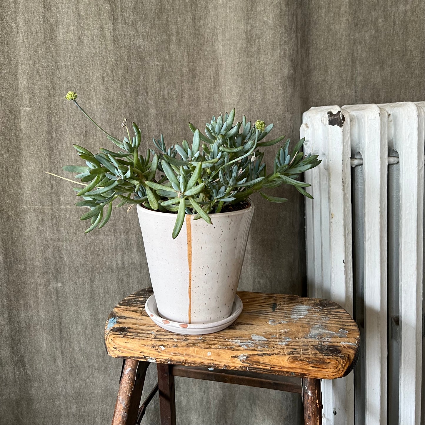 Medium Speckled Minimal Planter by Ross Kunze