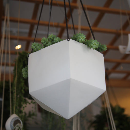 Large Hanging Planter