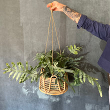 Ordesa Haning Basket