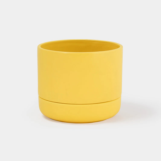 Frankliin MediumSelf Watering Planter