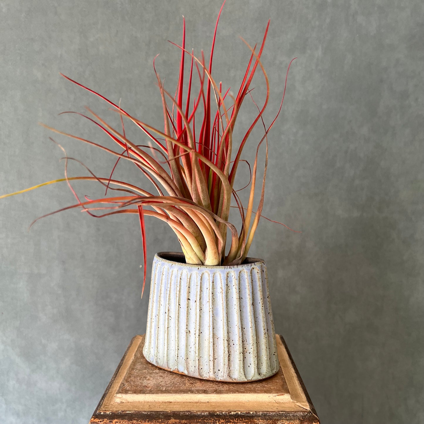 Elliptical Vase by Ross Kunze