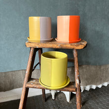 Two Toned Planter with Dish
