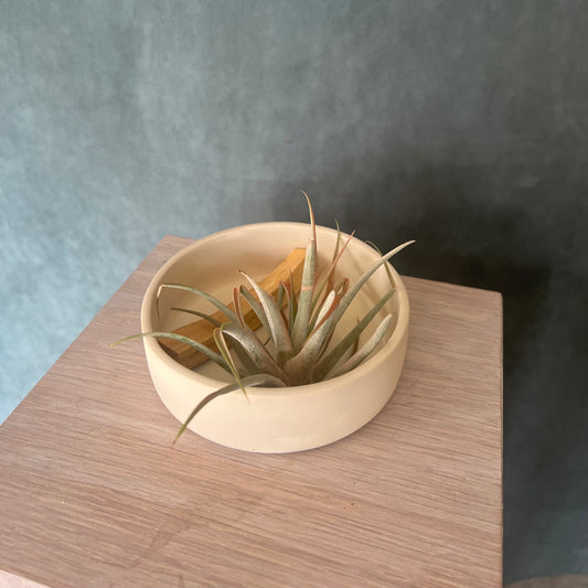 Multi Use Dish