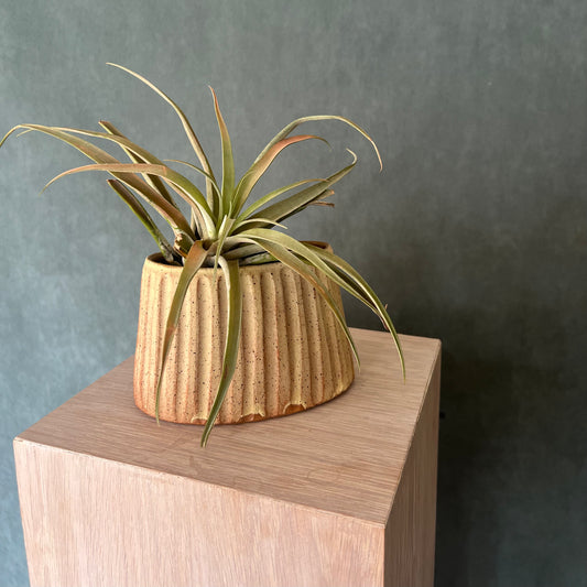 Elliptical Vase by Ross Kunze