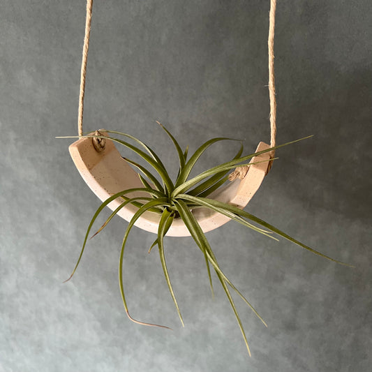 Small Hanging Air Plant Cradle