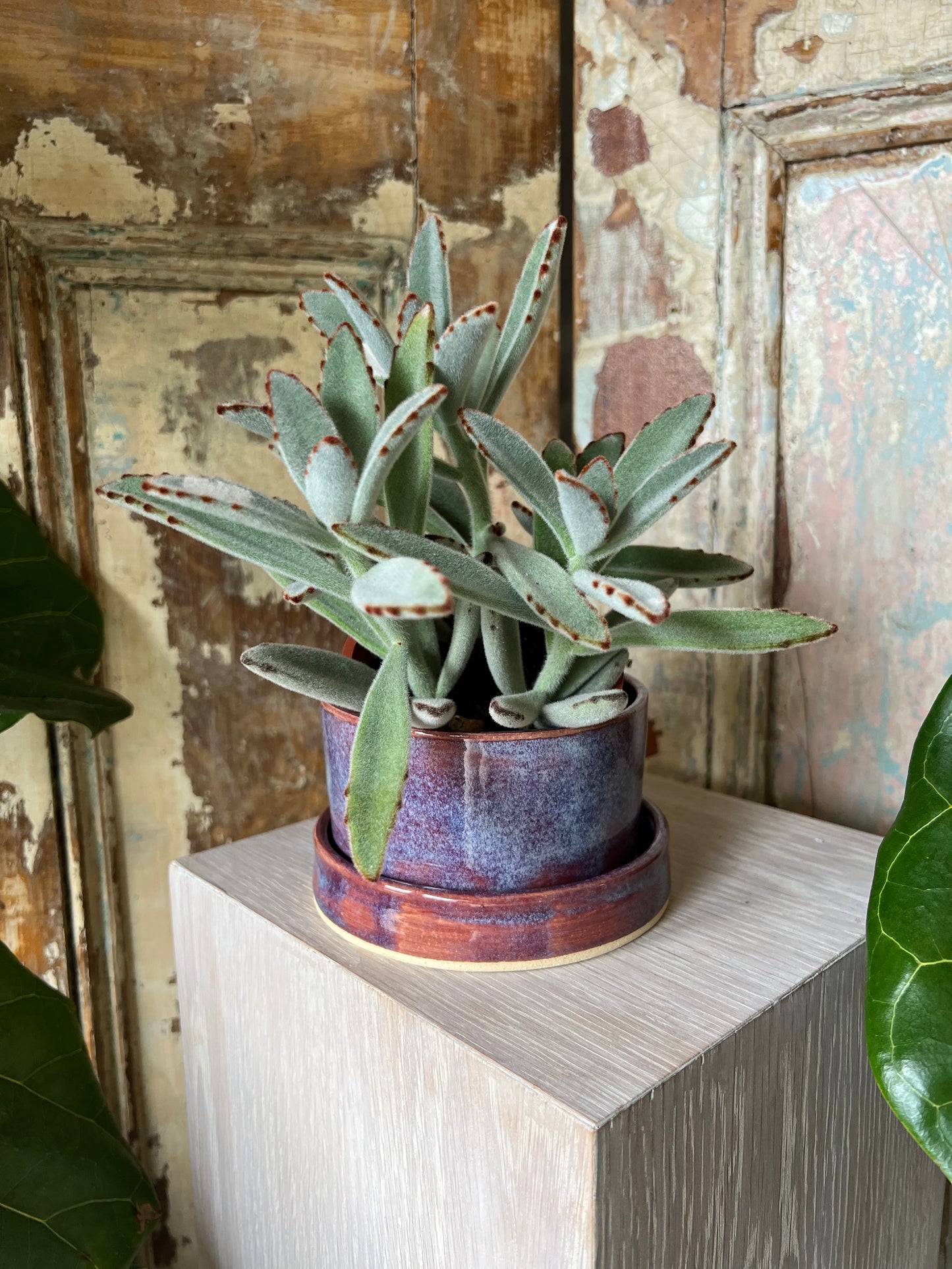 Planter by Lamb Pottery