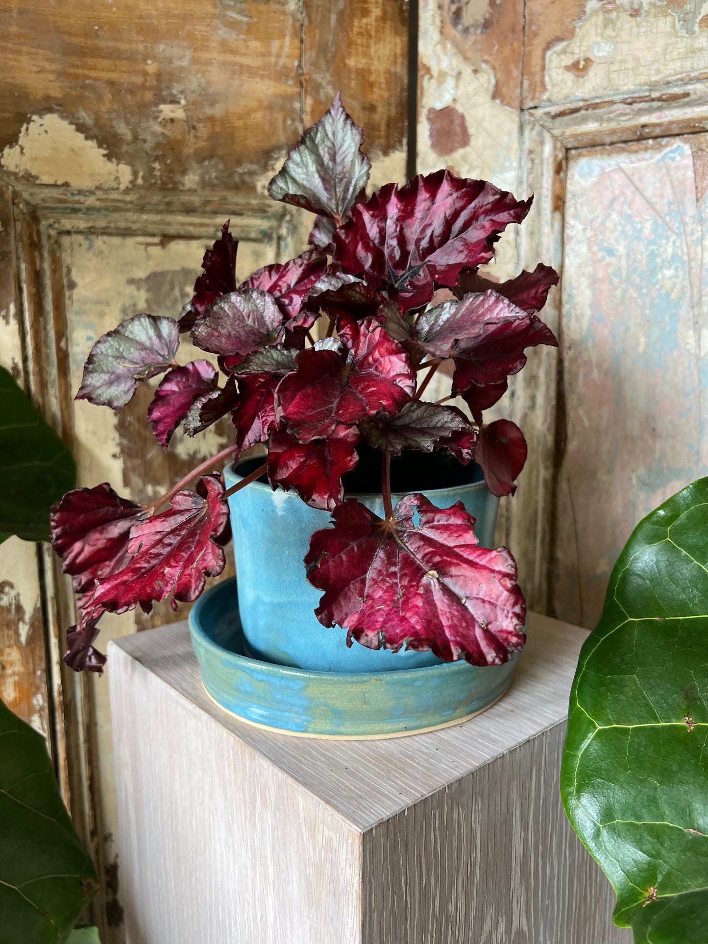 Planter by Lamb Pottery
