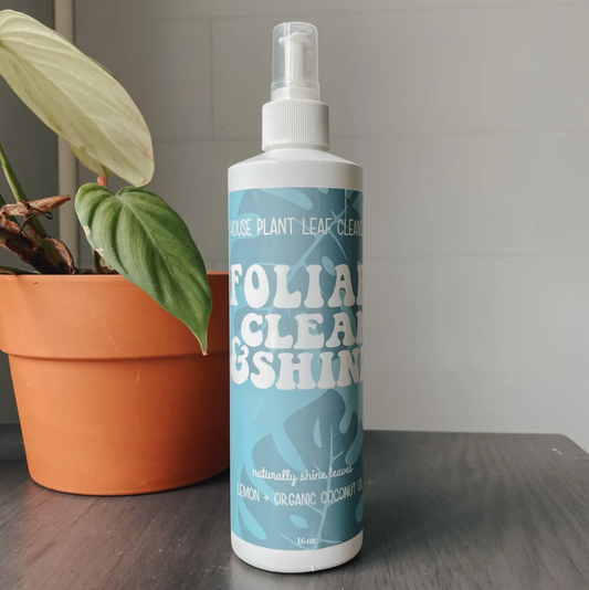 Foliage Clean & Shine- House Plant Cleaner