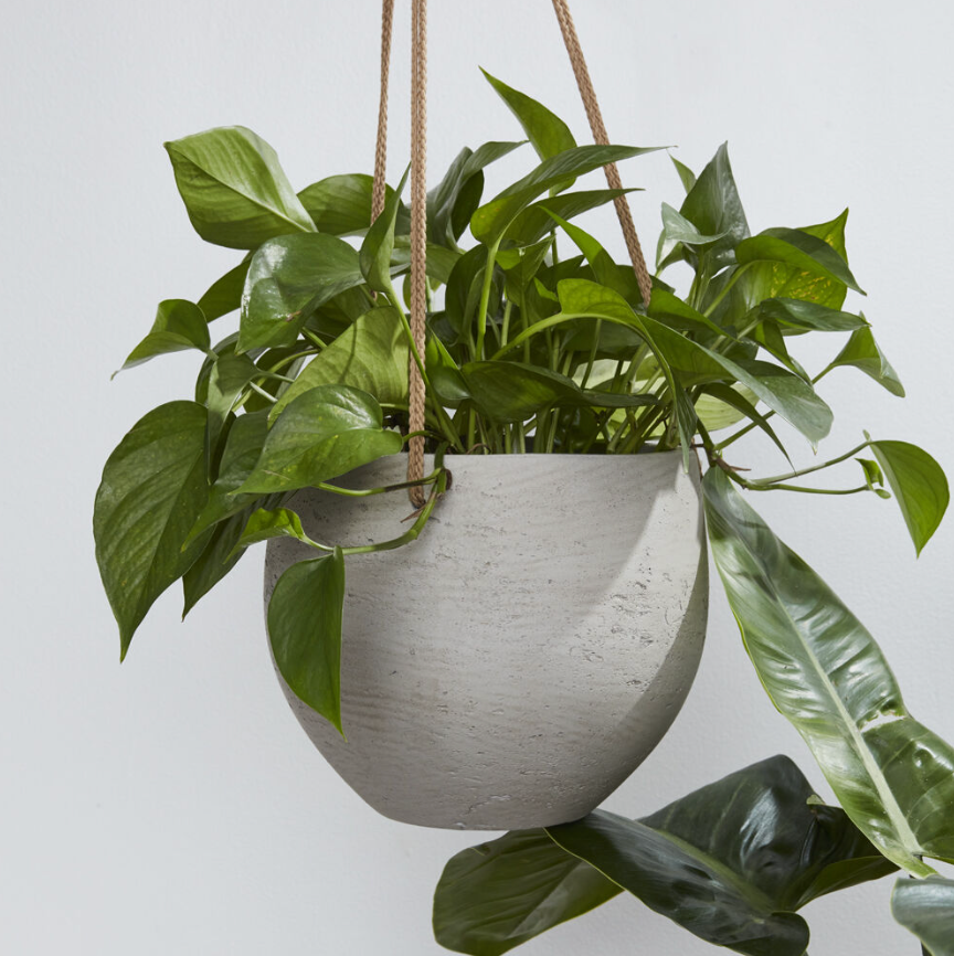 Figueroa Hanging Pot