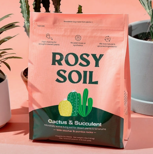 Organic Succulent Potting Soil 4 Qt.