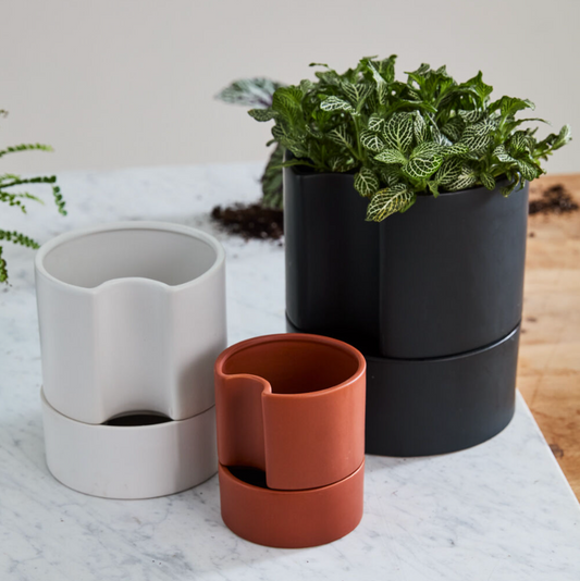 Jett Pot