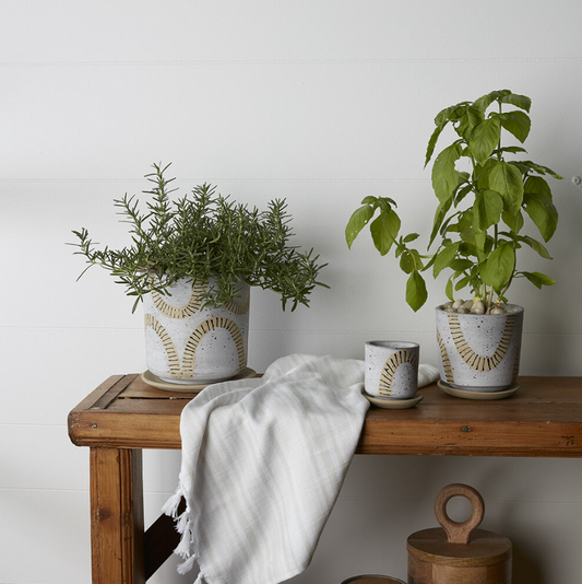 Tocoa Pot