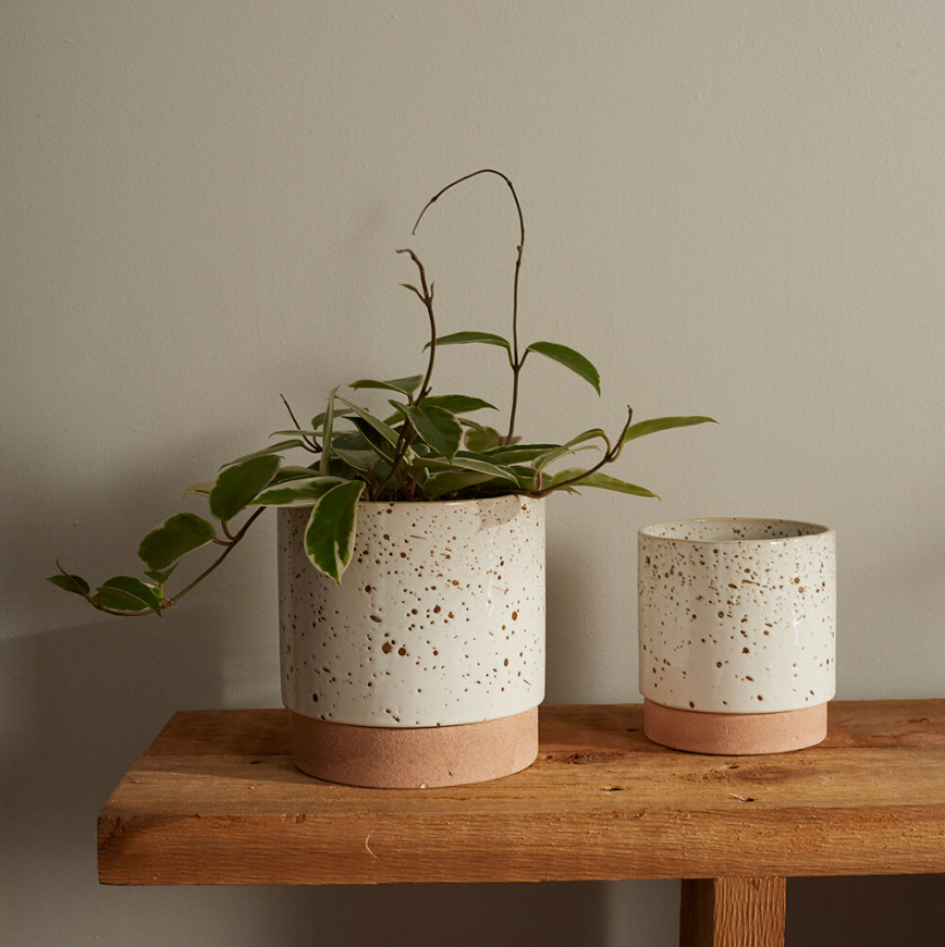 Briar Pot