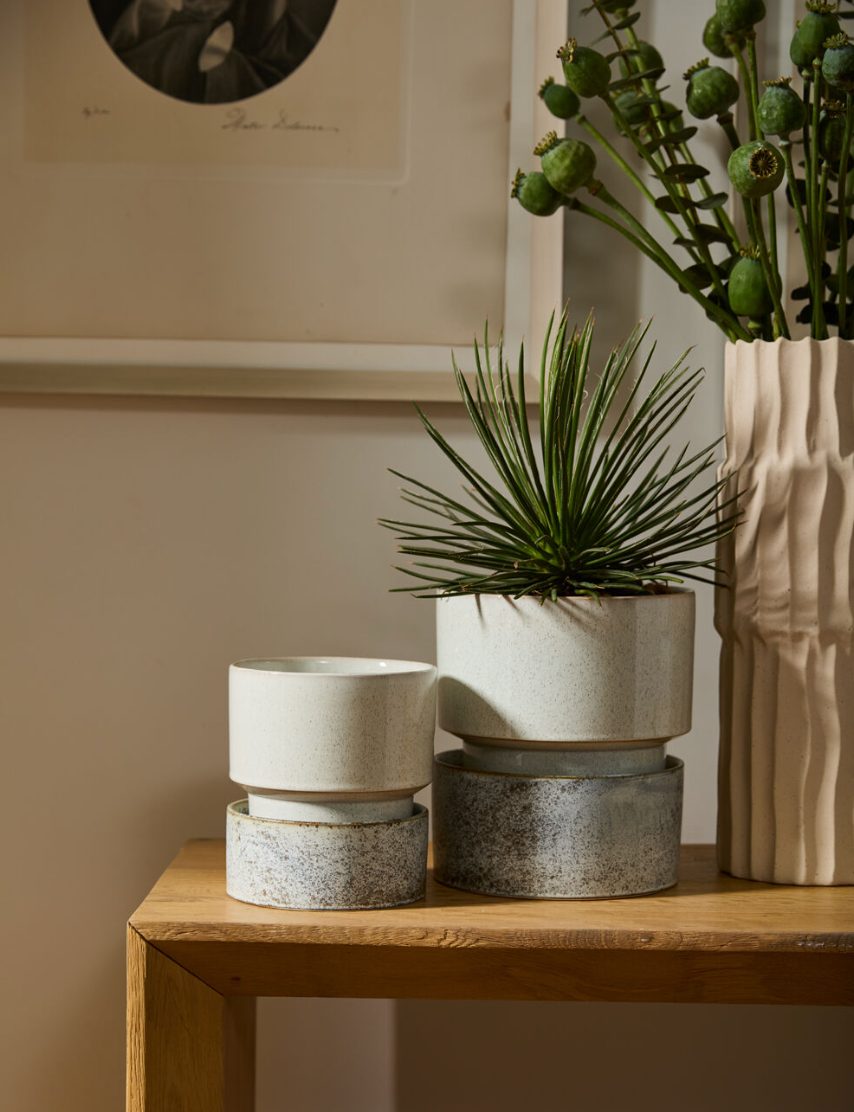 Endeaver Planter w/Tray
