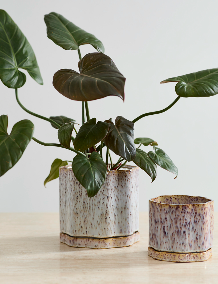 Avenell Pot w/Saucer
