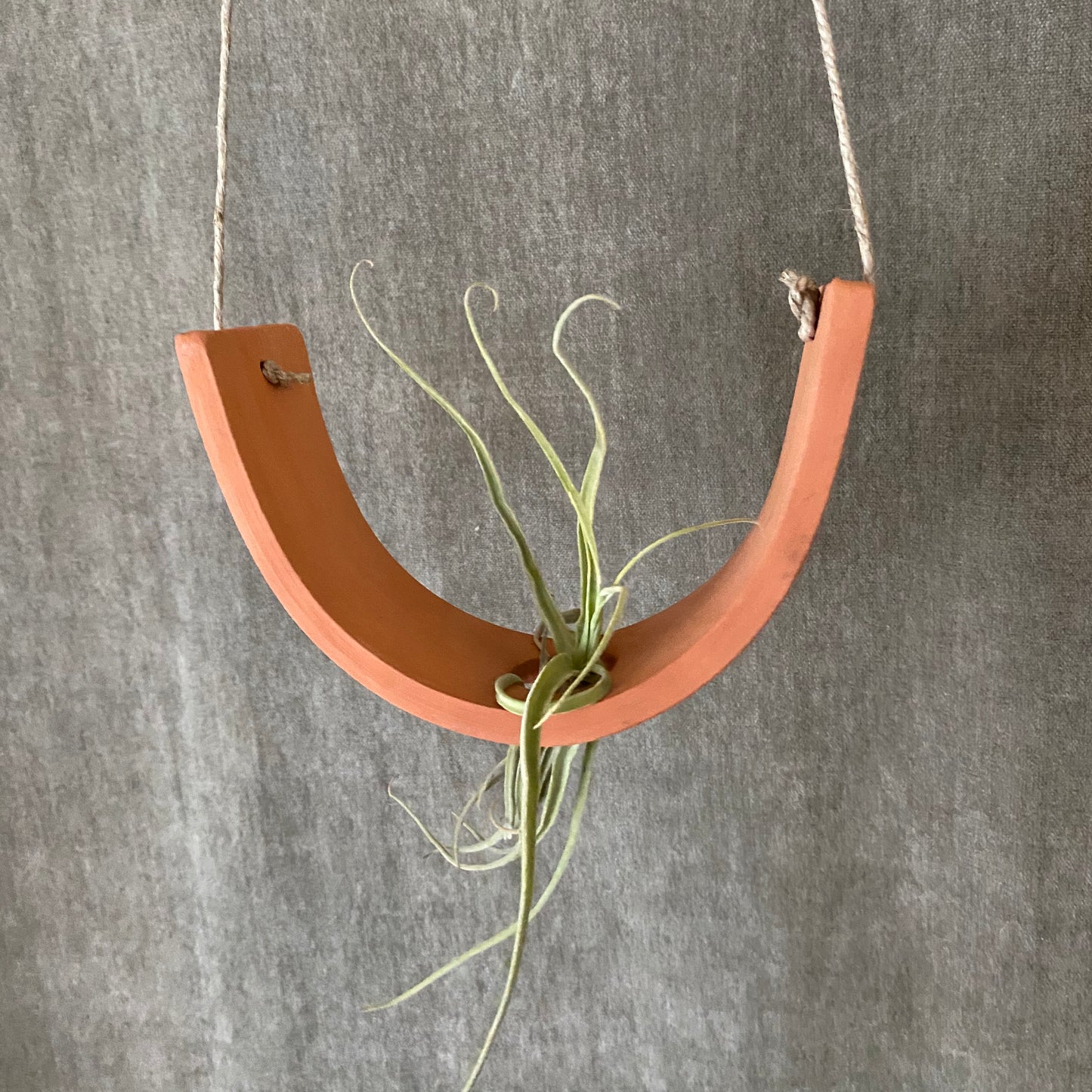 Large Hanging Air Plant Cradle