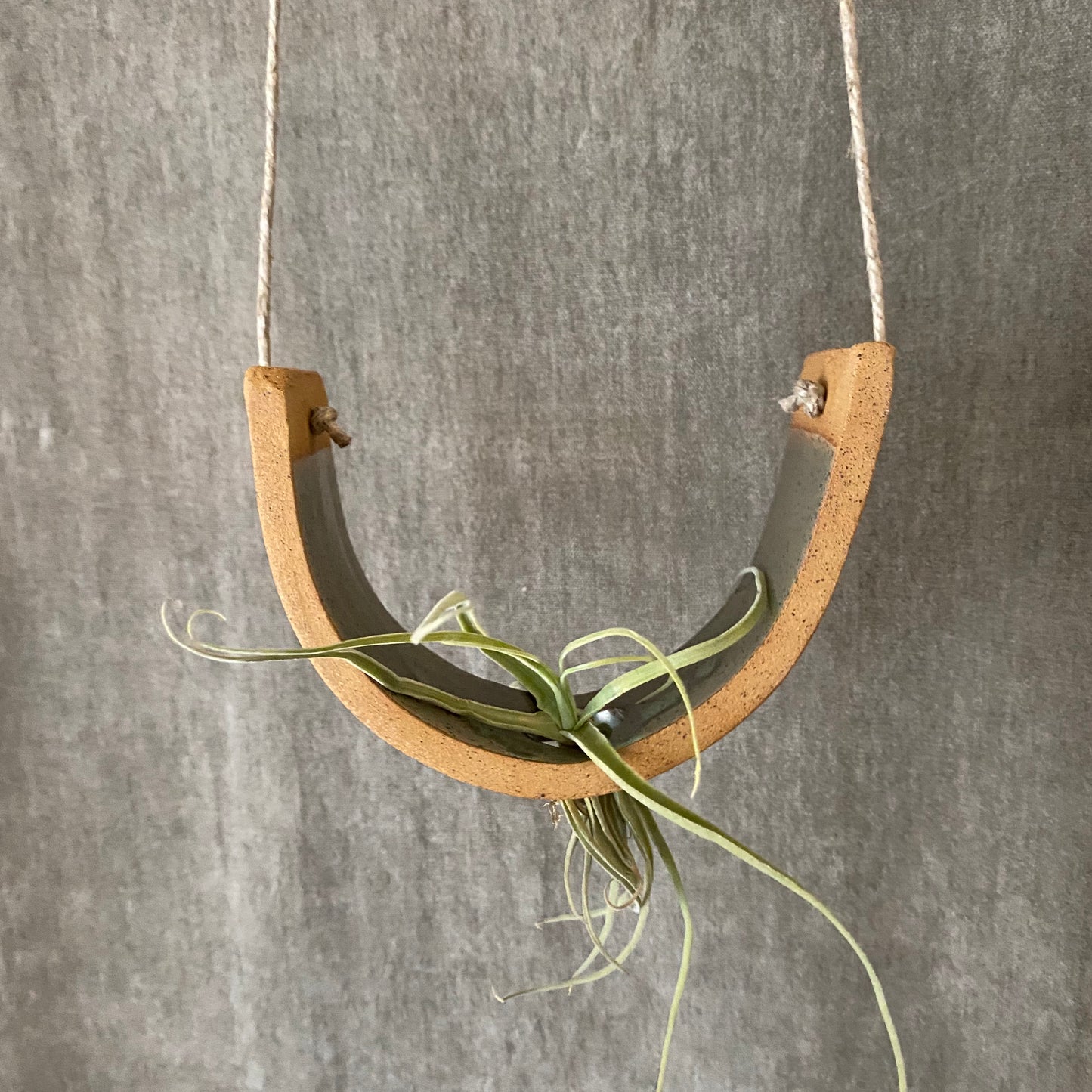 Large Hanging Air Plant Cradle