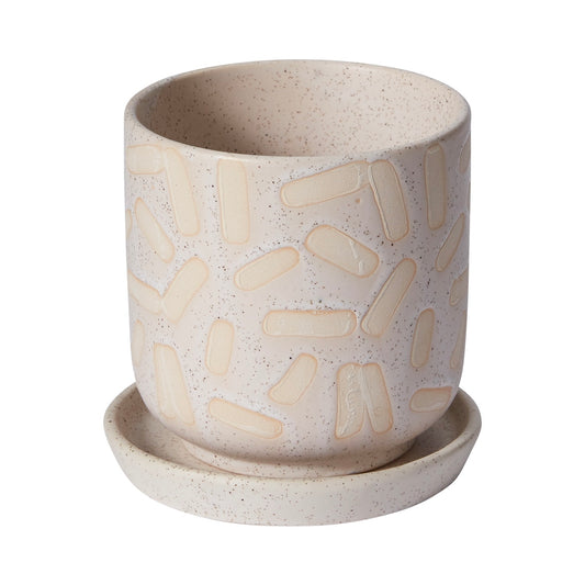 Small Sundea Planter