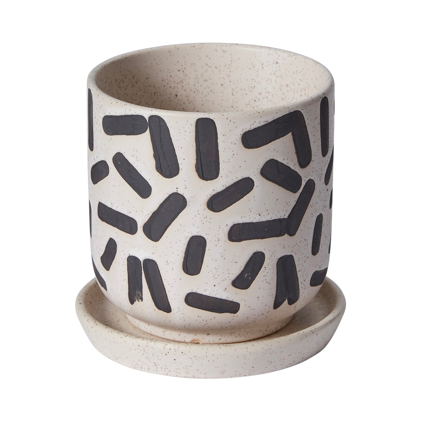 Small Sundea Planter