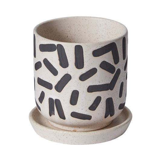 Small Sundea Planter