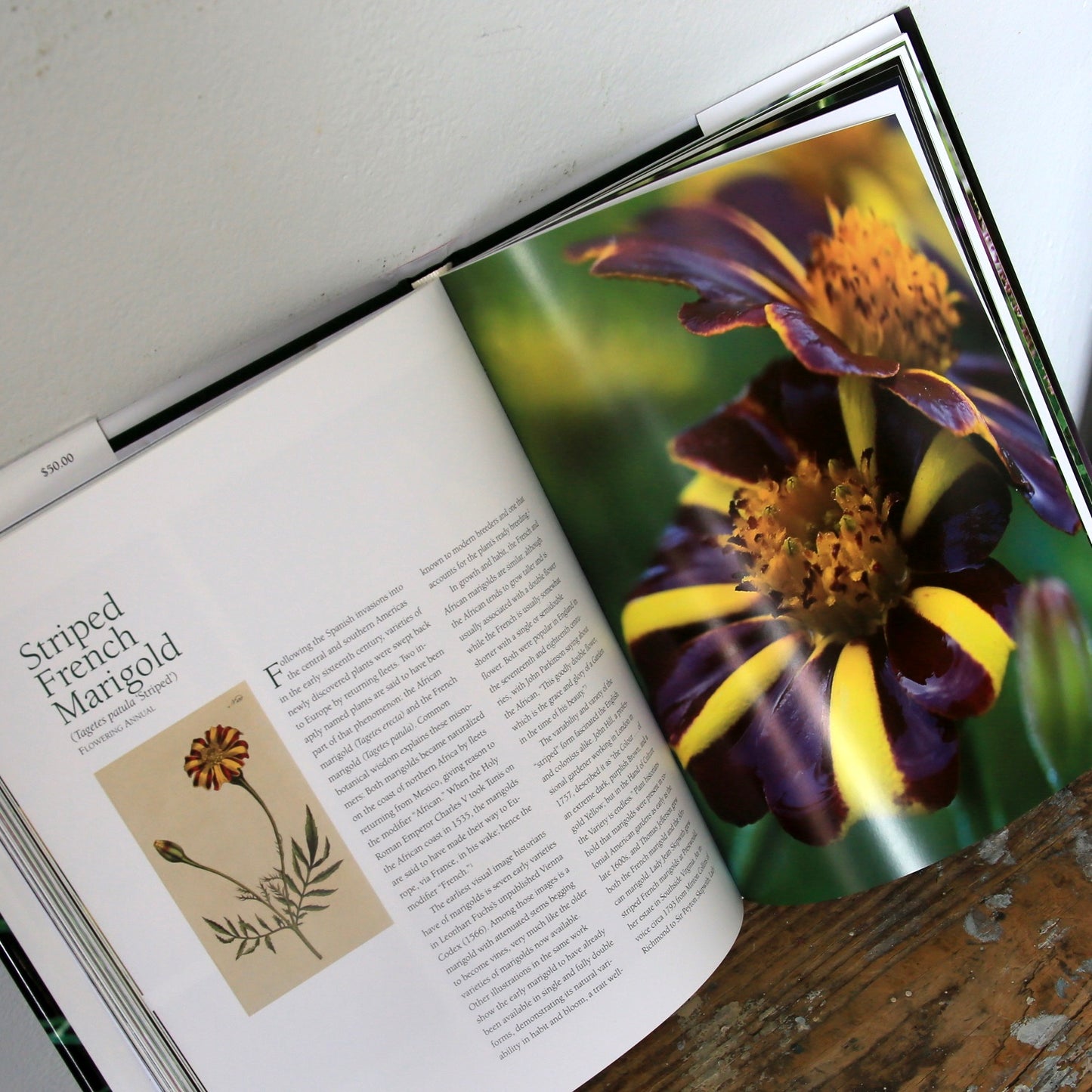 Flowers and Herbs of Early America