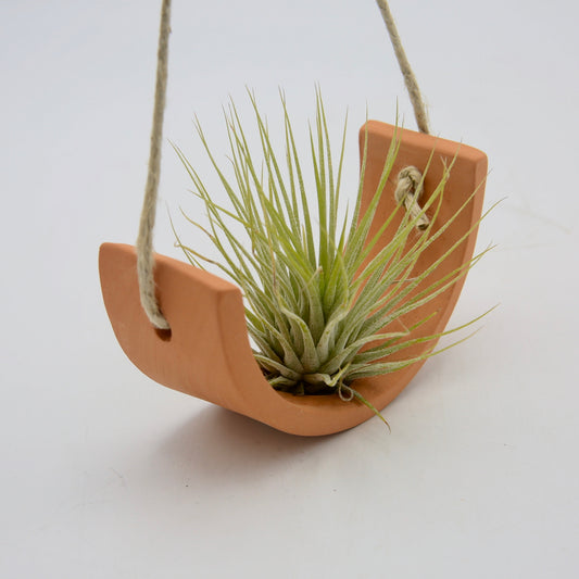 Small Hanging Air Plant Cradle