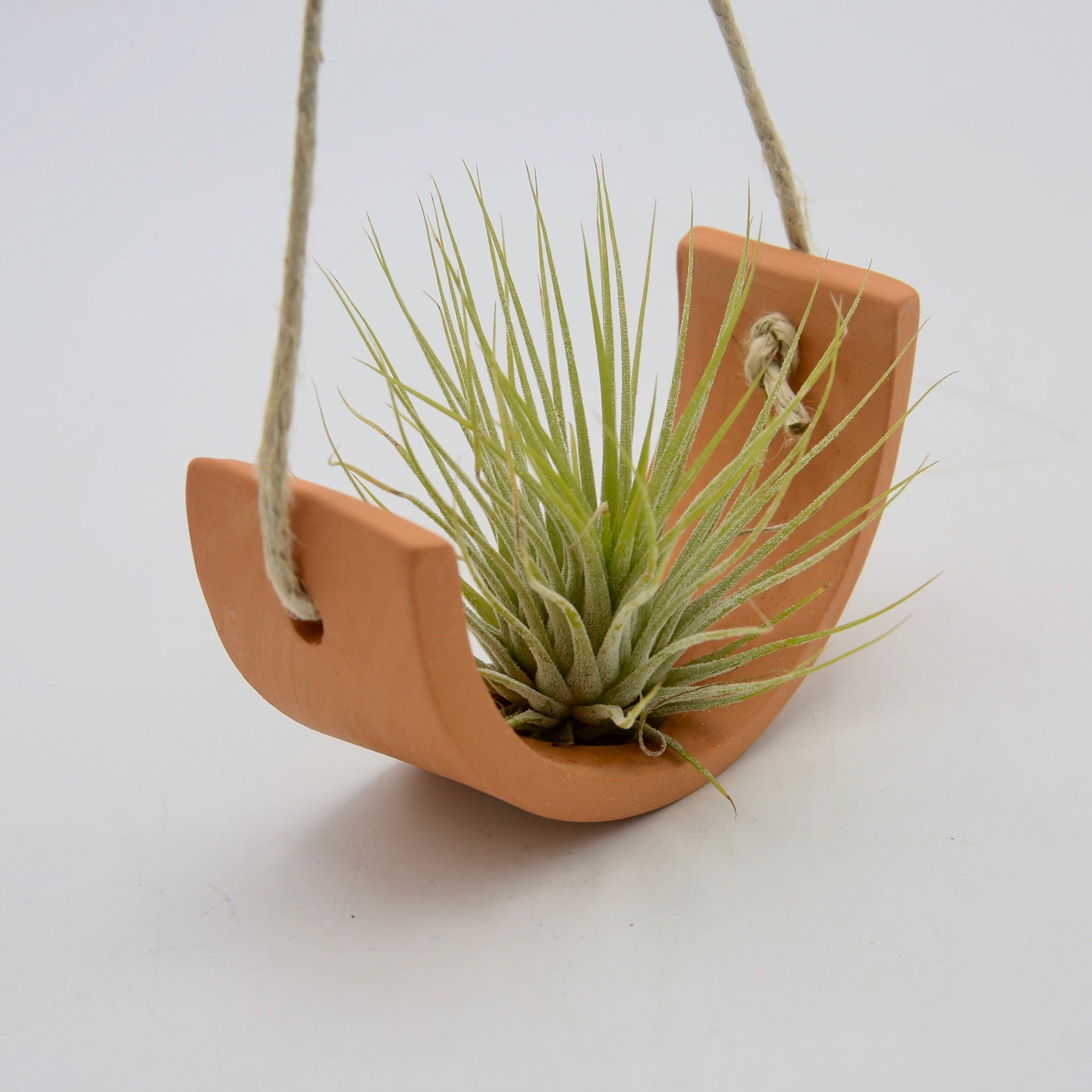 air plant cradle Small Hanging Air Plant Cradle – FLOWERKRAUT